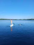 Morning Glory on the Lake: Escape to Serenity