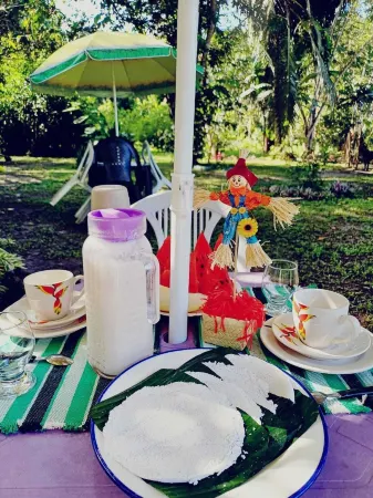 Eco Sitio O Labirinto do Fauno Отели в г. Mosqueiro