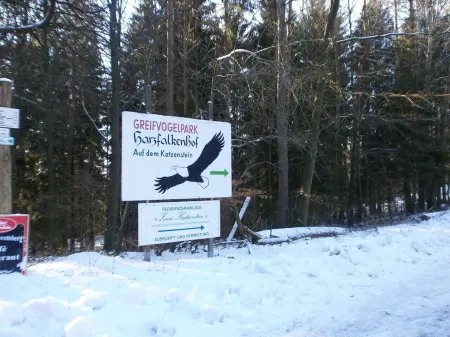 Lovely, very quiet vacation apartments for groups of up to 23 people Отели в г. Бад-Закса