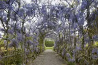 Innsaei, enjoy peace Hotels in Damme