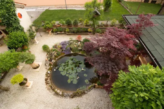 Apartment Beautiful Garden