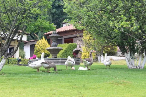 Cabañas Esperanza Hotels in Tlalpujahua