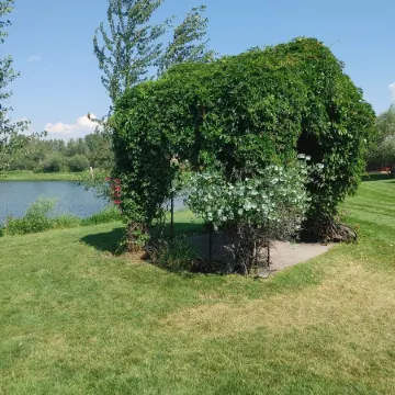SkyWater Cabins