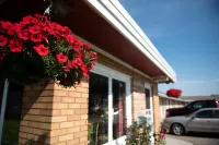 Adams Golden Acres Motel Hotel a Kingsville
