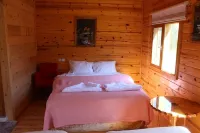 Velikoy Han Konaklari Hotels in Asagikoyunlu Koyu