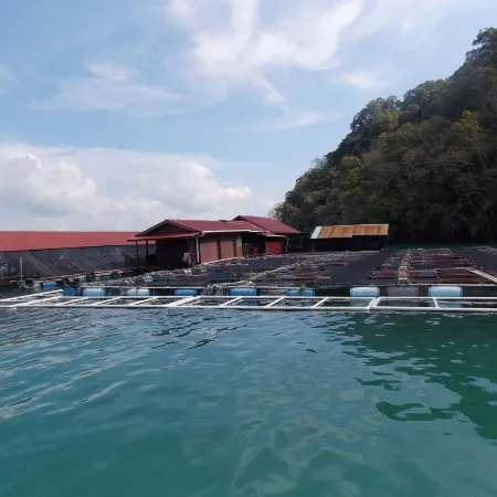 Terapung Hotel & Fish Garden