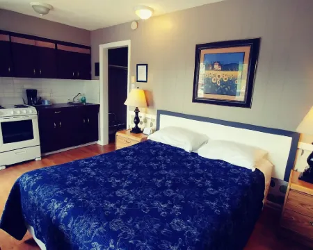 River Heights Motel Hotels in Courtenay