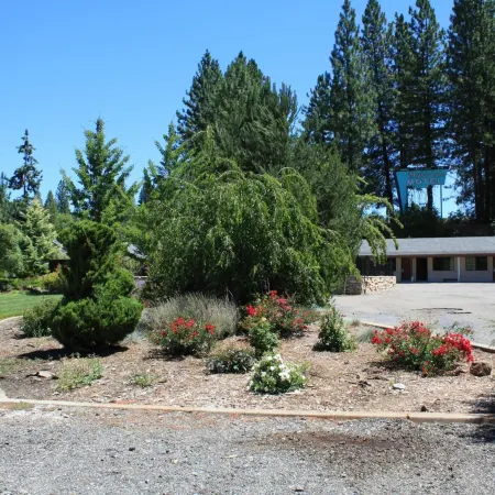 Mother Lode Motel