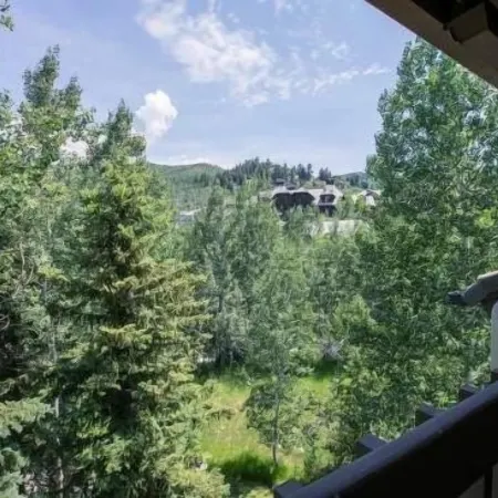 Townsend Place Condo 3 Minutes Walk to Beaver Creek VIllage by RedAwning