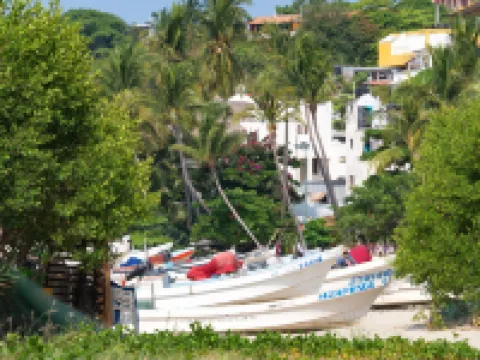 Nomad Beach House - Hostel Hotels in San Pedro Mixtepec