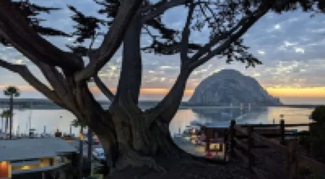 PEEK BAY/OCEAN VIEWS! WALK TO ALL!-500 sq.ft. King bed, full bath, Dog Friendly!