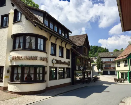 Landhotel Alte Aue Hotels in Upper Harz
