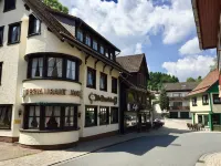 Landhotel Alte Aue - Wifi