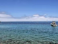 Catalina Island Cottage - Walk to Main St and Beach! Hotels in Avalon