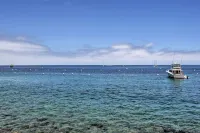 Catalina Island Cottage - Walk to Main St and Beach!