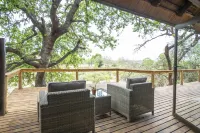 Elephant Plains Game Lodge Hotels in Ehlanzeni