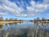 Logement Garjen Hotels in Harlingen