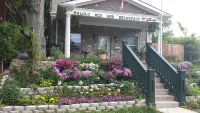 Malolo Bed and Breakfast