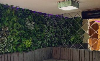 Pious Court Guest House Old Gra