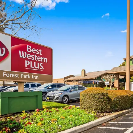 Best Western Plus Forest Park Inn