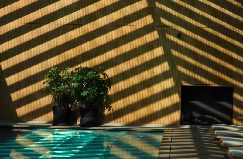 Botanic Sanctuary Antwerp photo 4