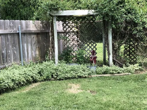 Ranch House Oasis...