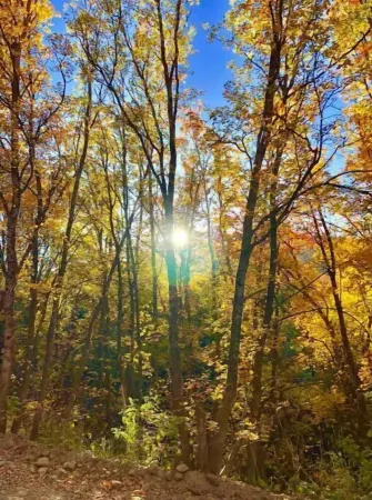 MountainValley vacation home in Ogden