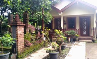 Penginapan Widodo Borobudur