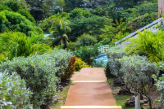 Sugarapple Inn Hotels in 