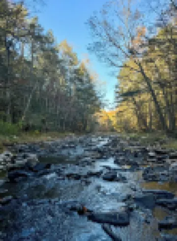 The Creek House - Secluded Stay 10min to Woodstock & Saugerties