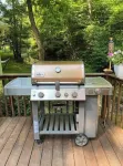 Molly Branch Cottage- Beautiful Private Setting, 5 Star ABNB, Newly Listed VRBO