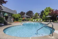 Best Western Fireside Inn - Pools