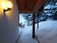 Hotel Grizzly "Ski-in Ski-out" - Wifi