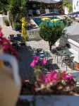 BO House & Hairshop - Pools