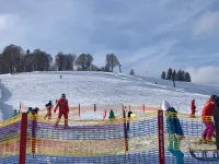 Ferienwohnung 002 - Gartengeschoss mit Terrasse Hotels in Todtnauberg