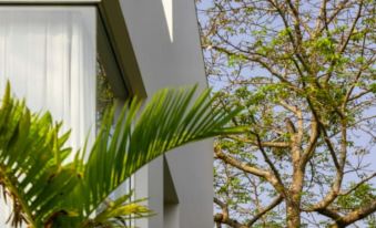 Chic 2BR Hideaway in Assagao Near Anjuna Beach