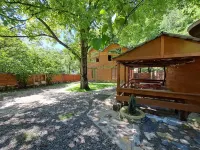 Borjomi in likani. National park of borjom kharagauli. Mountain forest hiking โรงแรมใน