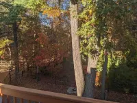 Relaxing Getaway: Entire 3-BR Home w/ Fireplace