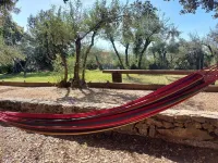 Olive trees فنادق في Tornac