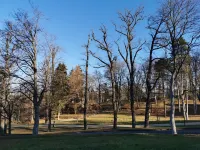 Vacation apartment "Villa am Kurpark" - Maisonette