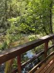 ‘Volcano Country’ Creek side Cottage in Doty