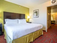 Holiday Inn Express & Suites INDIANAPOLIS NORTH - CARMEL by IHG Hotels in Carmel