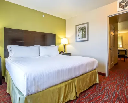 Holiday Inn Express & Suites INDIANAPOLIS NORTH - CARMEL by IHG Hotels in Carmel