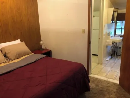 Horns Cabins - The Stargazer Cabin by the pasture