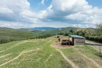 Villa Airone Tegoni Pool Radicondoli Hotels in Radicondoli