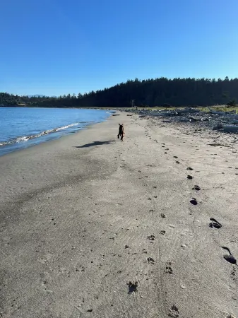 Top Rated! Stunning Waterfront Island Paradise home