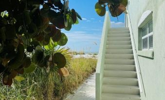 763 North Shore Downstairs 3 Bedroom Apts by RedAwning