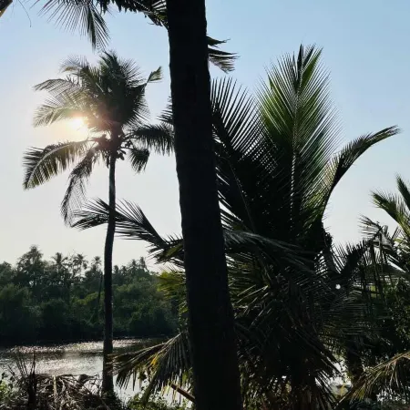 Rivaba Resort by White Villa Goa