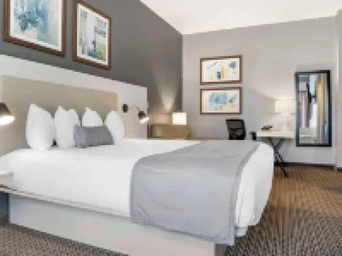 Best Western Plus Two Rivers Hotel  Suites Hotels in Demopolis