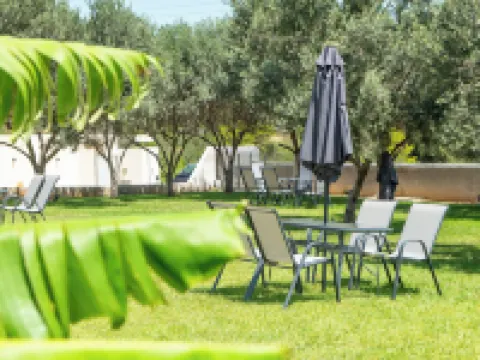 Airscape Hotel Free Shuttle from Athen's Airport Hotels in Spata-Artemida